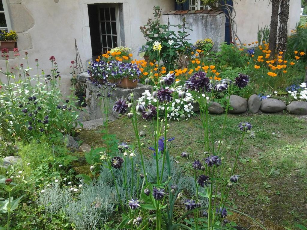 Chambres D'Hotes Aroha Sorde-lʼAbbaye Εξωτερικό φωτογραφία
